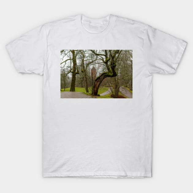 Crooked mossy trees in autumn T-Shirt by lena-maximova